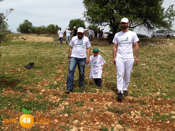 ludandyaffazaitoon (18).JPG